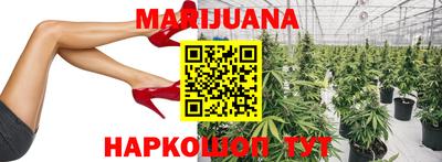 шишки Боровичи