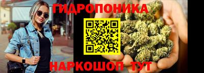 шишки Боровичи