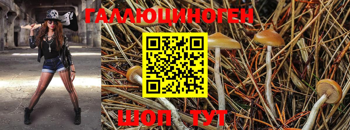Коломна  Галлюциногенные грибы MAGIC MUSHROOMS  Вход с VPN  Псилоцибиновые грибы ЛСД 